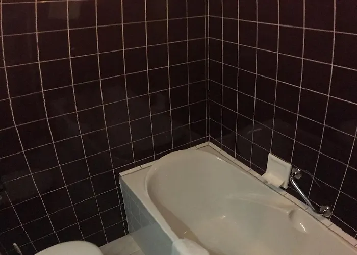 酒店 埃尔德酒店 里昂